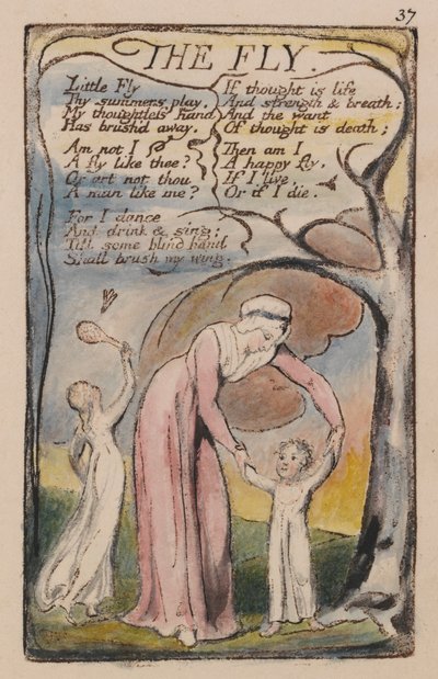 Songs of Innocence and of Experience, Plate 37, The Fly (Bentley 40) by William Blake